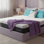 Ambientada nomadAmbientada