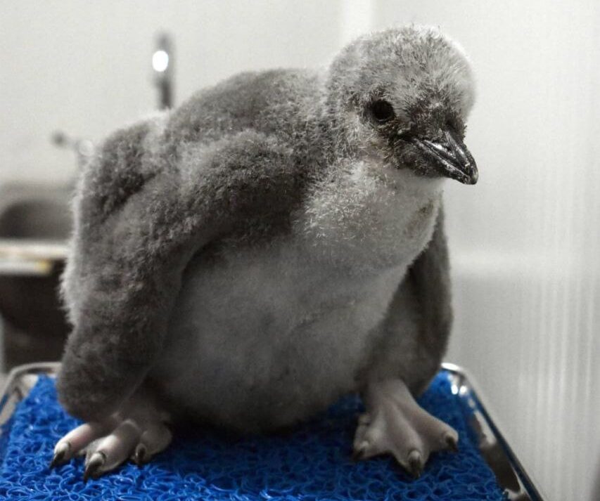 photo_2026-02-12_13-17-03 (2)