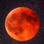 69a59f90c22b9.r_d.553-665-7939