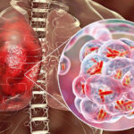 WhatsApp Image 2026-03-23 at 11.35.13 AM