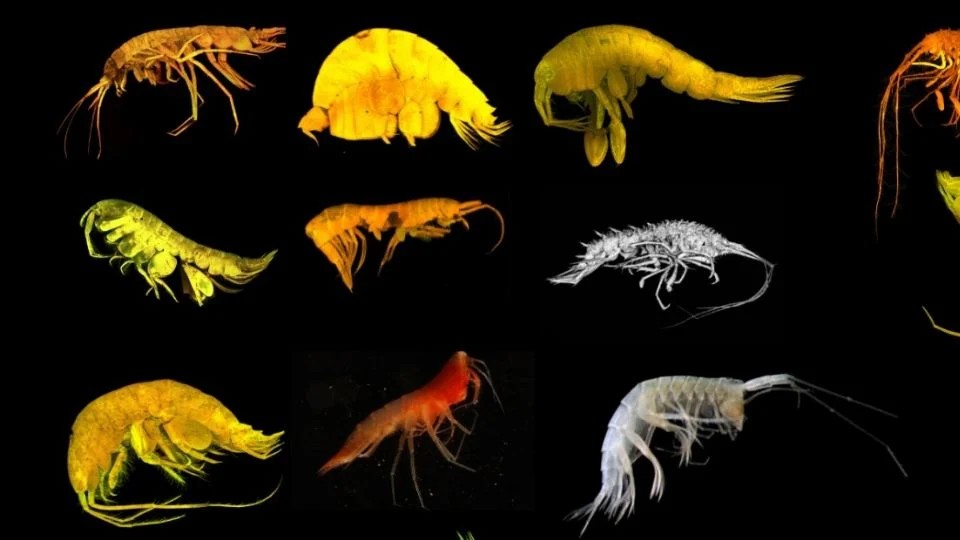 f960x540-142729_216804_3240