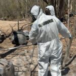 f960x540-143112_217187_4116