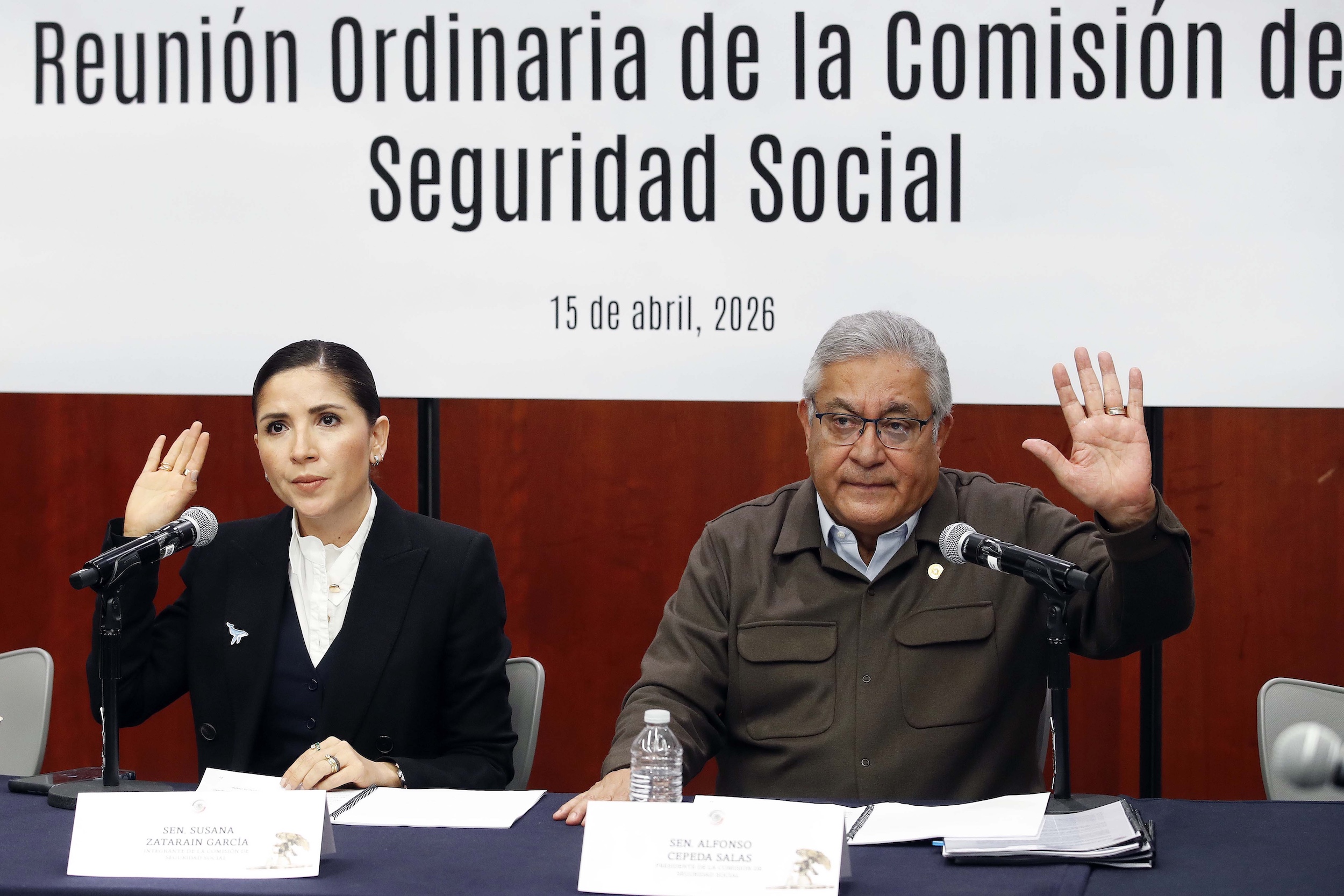 150426_Comision_Seguridad_Social_2