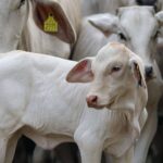 8209385c-9480-4085-b88f-8927a4212fba