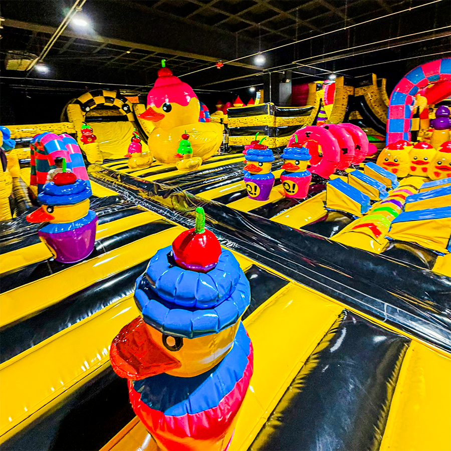 Inflalandia Guadalajara (10)