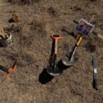 f960x540-143747_217822_5050