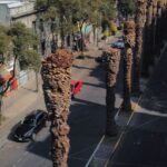 retirara-sedema-9-mil-plameras-cdmx_15_2000x856