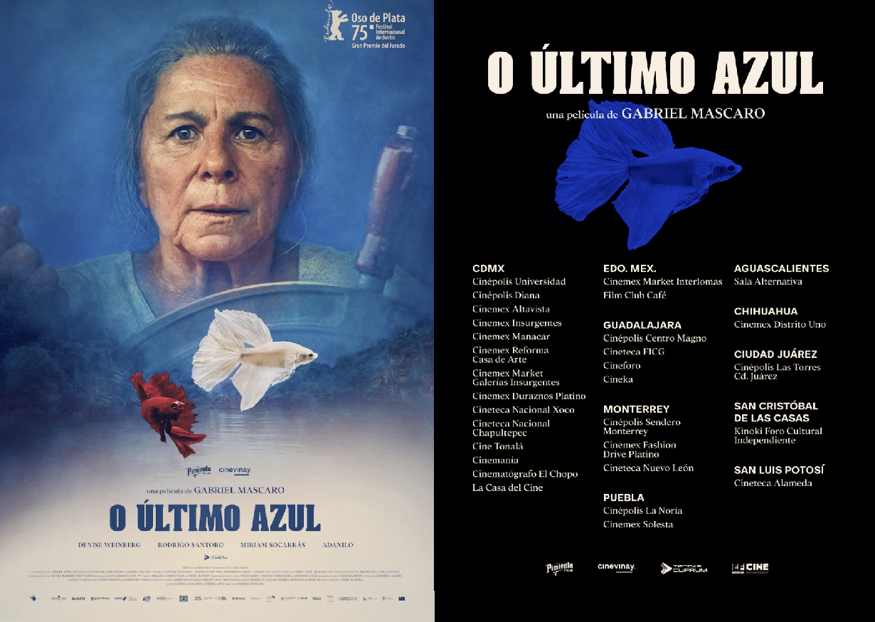 4.- oultimo