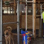 denuncia-fundacion-haghenbeck-servidores-cdmx_13_1000x428