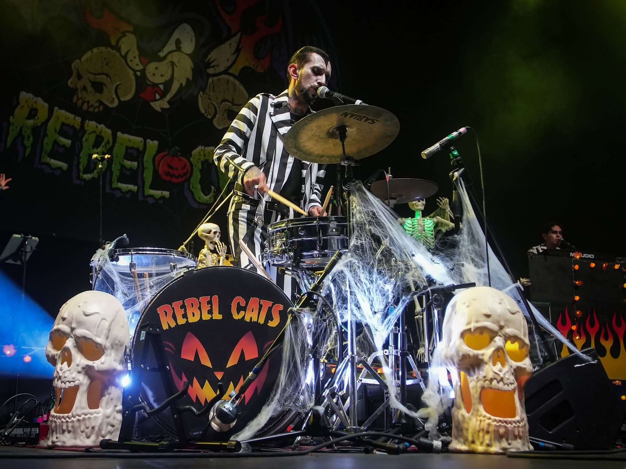 REBEL CATS METROPOLITAN FOTO1
