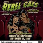 Rebel Cats (1)