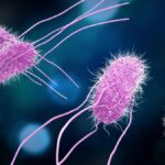 WhatsApp Image 2026-09-29 at 10.47.20 AM