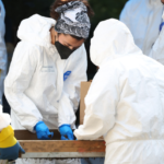 2026-10-15t125956-477_13_1000x428