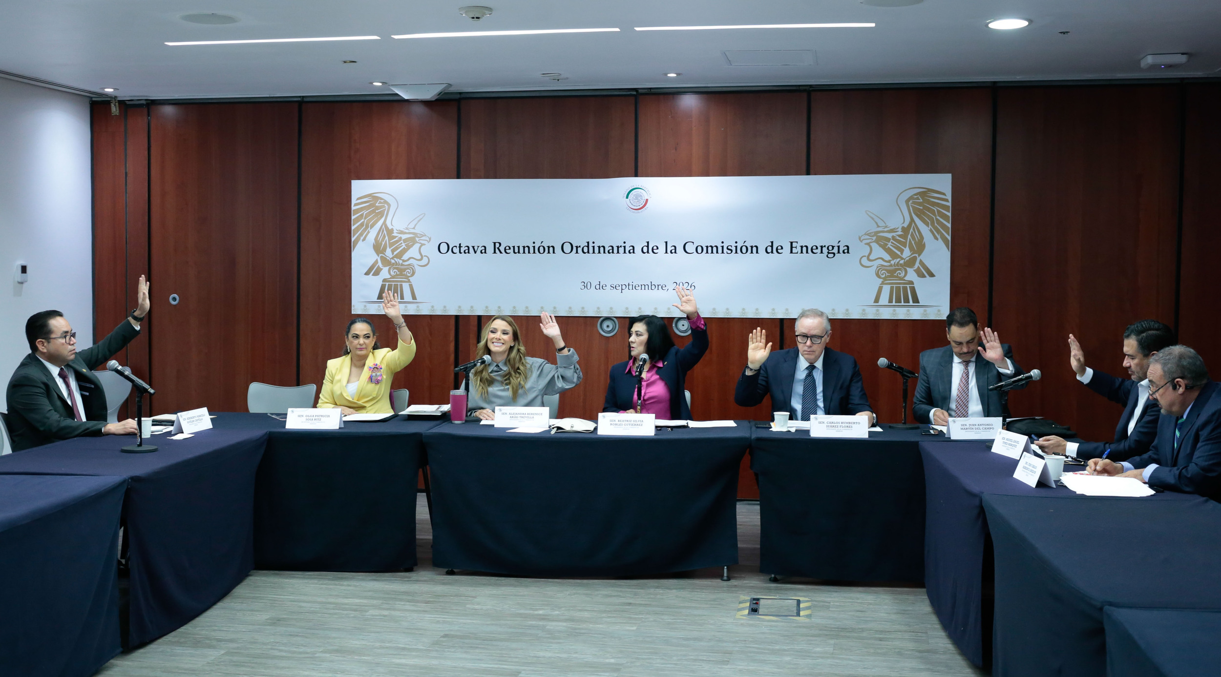 300926_Comision_Energia-6