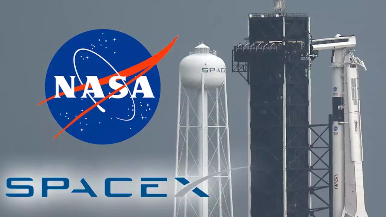 space-x-elon-musk